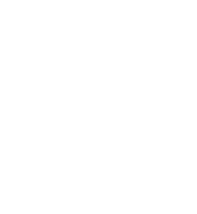 anne-castro-background