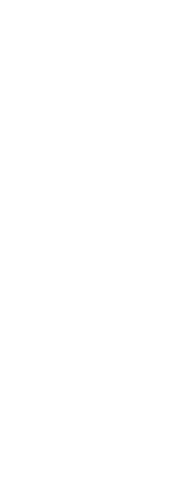 juliana-rodrigues-background